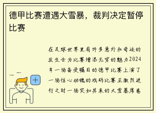 德甲比赛遭遇大雪暴，裁判决定暂停比赛